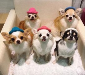 imtoken中文版下载