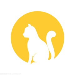 下载USDT钱包
