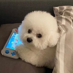 币安钱包app安卓版下载